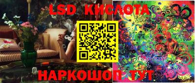прущие грибы Ирбит